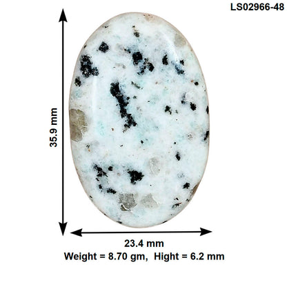 Sesame Jasper 35.9x23.4x6.2 mm Oval Gemstone LS02966-48