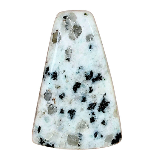 Sesame Jasper 35.15x22.68x4.8 mm Fancy Gemstone LS02967-48