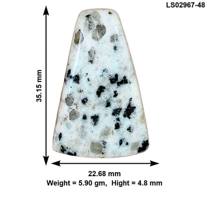 Sesame Jasper 35.15x22.68x4.8 mm Fancy Gemstone LS02967-48