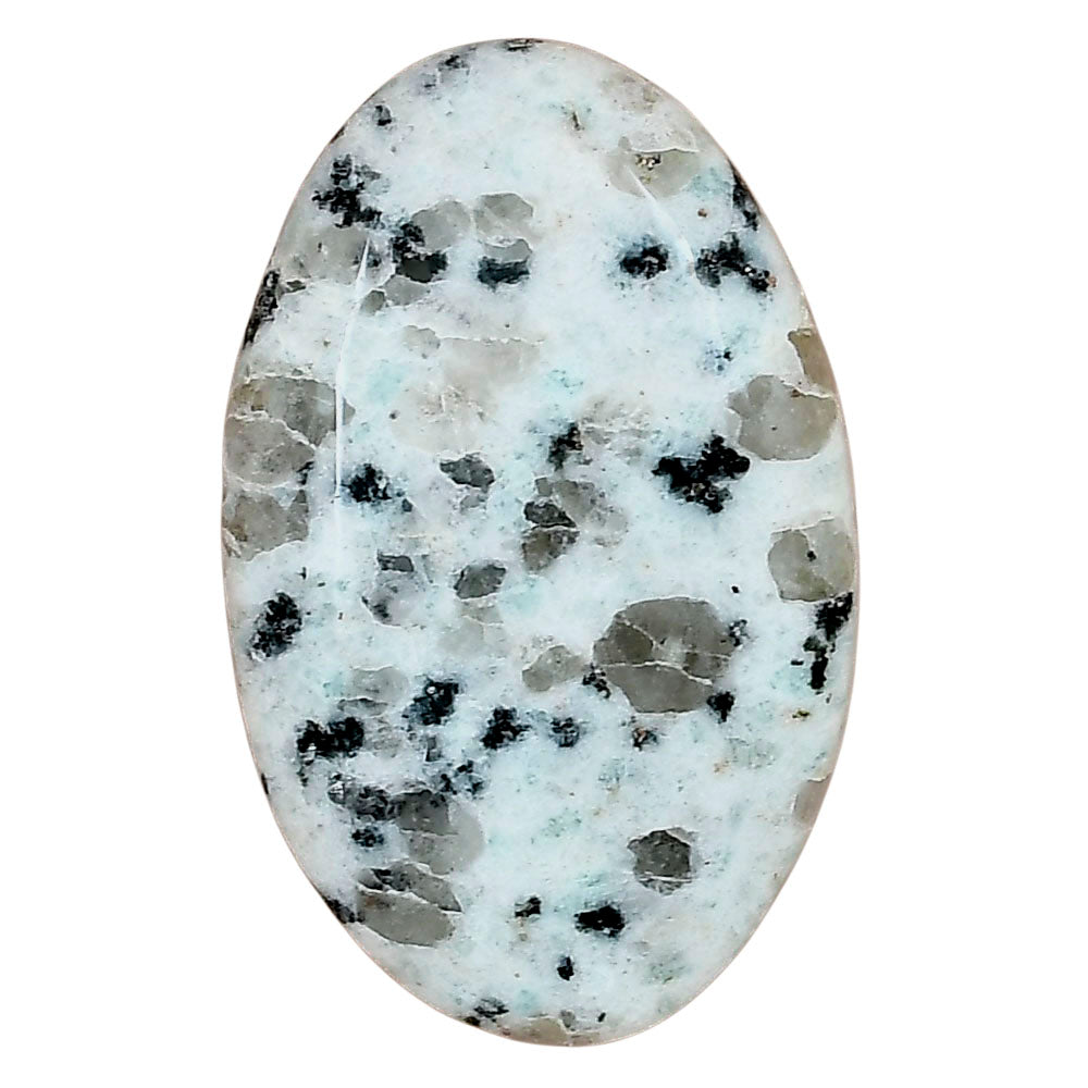 Sesame Jasper 36.93x23.24x6.1 mm Oval Gemstone LS02968-48
