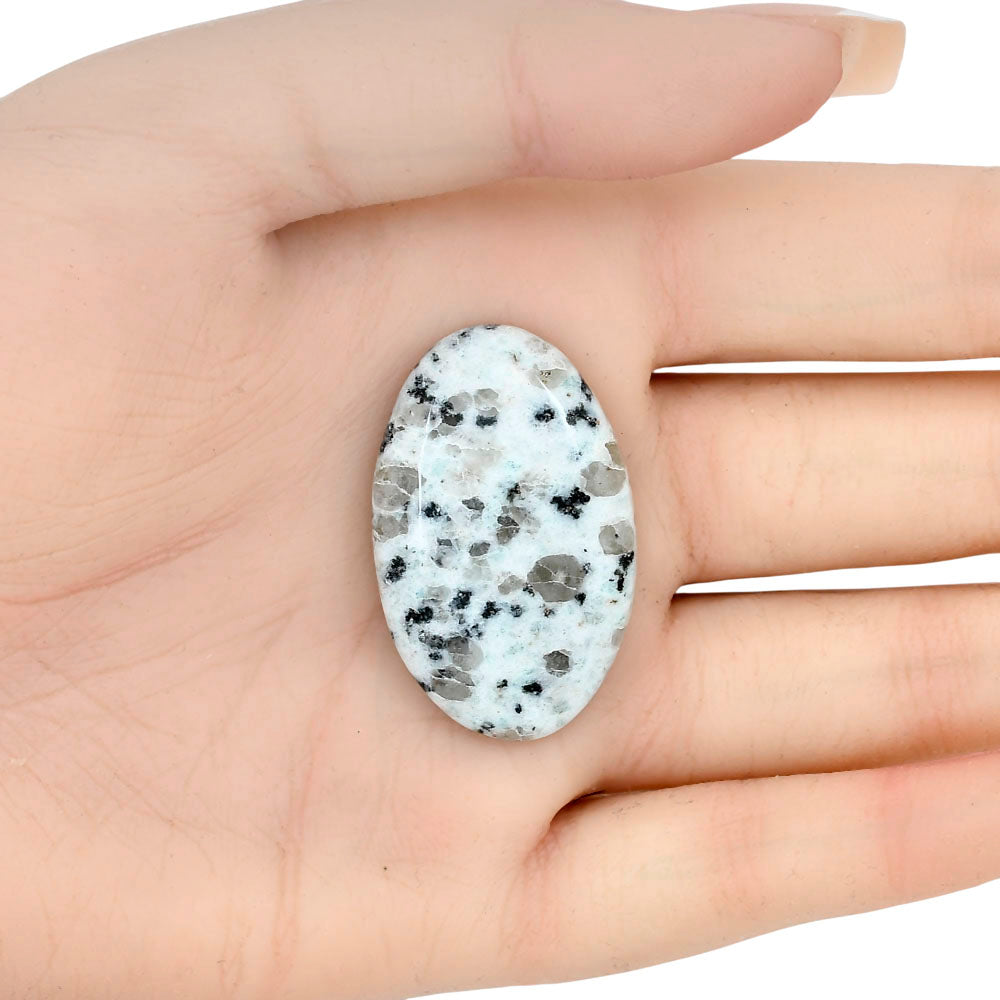 Sesame Jasper 36.93x23.24x6.1 mm Oval Gemstone LS02968-48