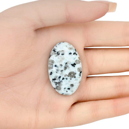 Sesame Jasper 36.93x23.24x6.1 mm Oval Gemstone LS02968-48