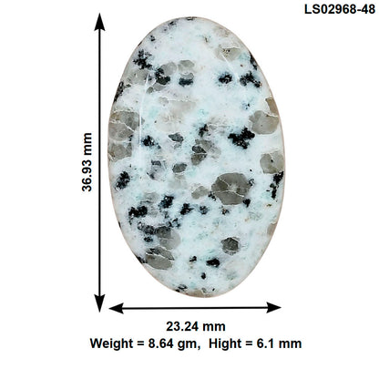 Sesame Jasper 36.93x23.24x6.1 mm Oval Gemstone LS02968-48
