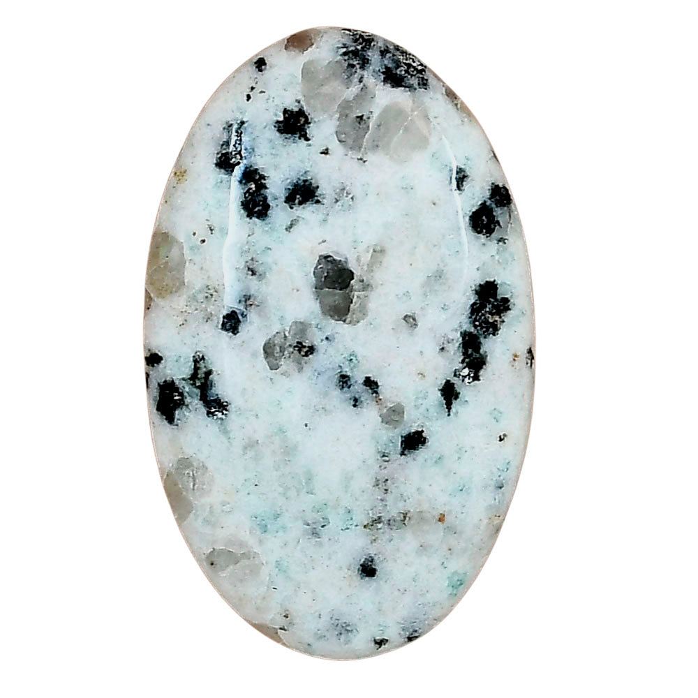 Sesame Jasper 33.94x20.93x5.8 mm Oval Gemstone LS02969-48