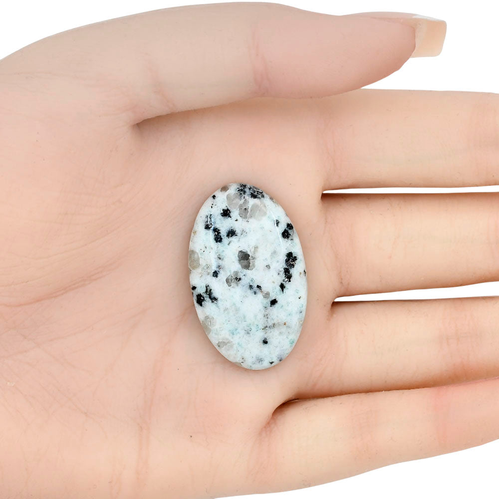 Sesame Jasper 33.94x20.93x5.8 mm Oval Gemstone LS02969-48
