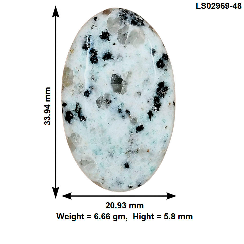 Sesame Jasper 33.94x20.93x5.8 mm Oval Gemstone LS02969-48
