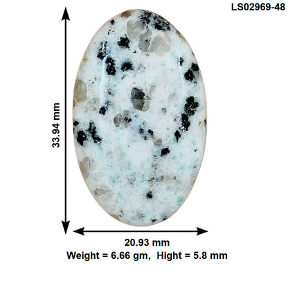 Sesame Jasper 33.94x20.93x5.8 mm Oval Gemstone LS02969-48