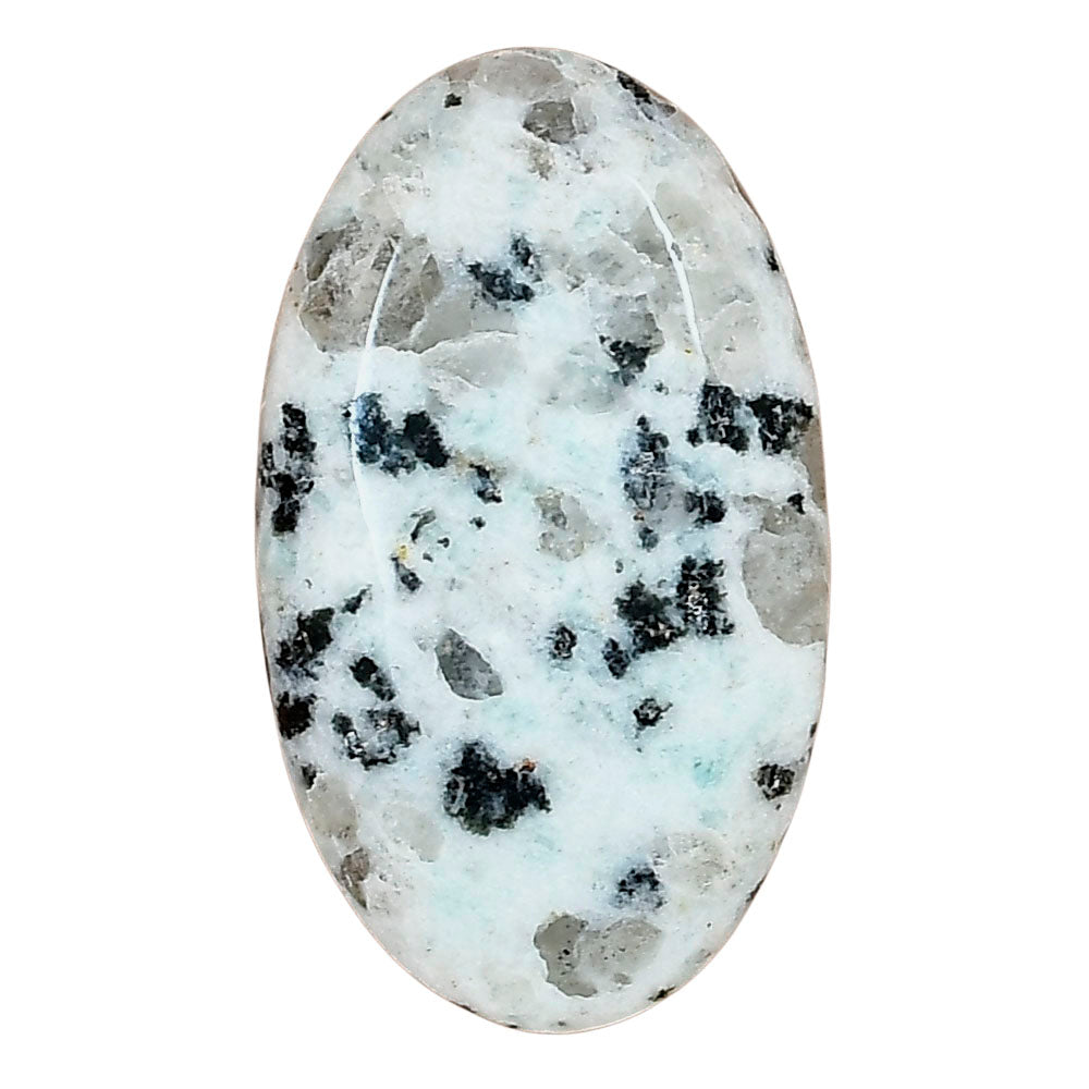 Sesame Jasper 34.28x20x6.2 mm Oval Gemstone LS02970-48