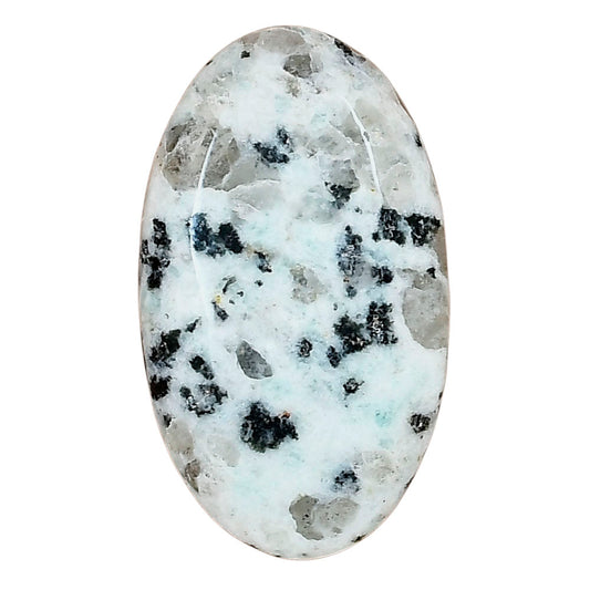 Sesame Jasper 34.28x20x6.2 mm Oval Gemstone LS02970-48