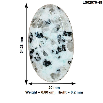 Sesame Jasper 34.28x20x6.2 mm Oval Gemstone LS02970-48