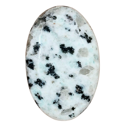 Sesame Jasper 34.48x22.36x6 mm Oval Gemstone LS02971-48