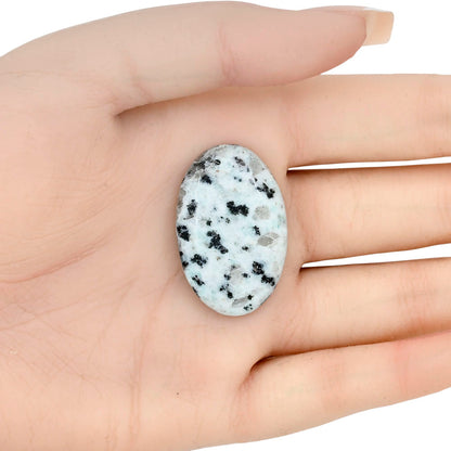 Sesame Jasper 34.48x22.36x6 mm Oval Gemstone LS02971-48