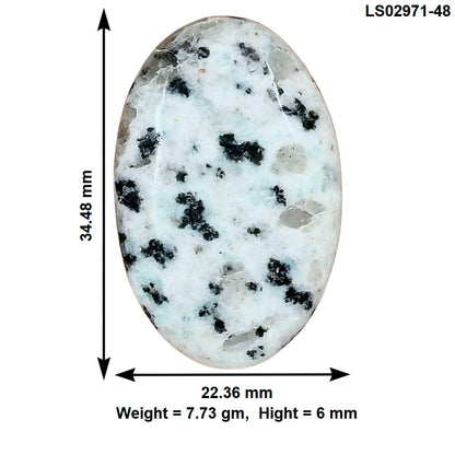 Sesame Jasper 34.48x22.36x6 mm Oval Gemstone LS02971-48