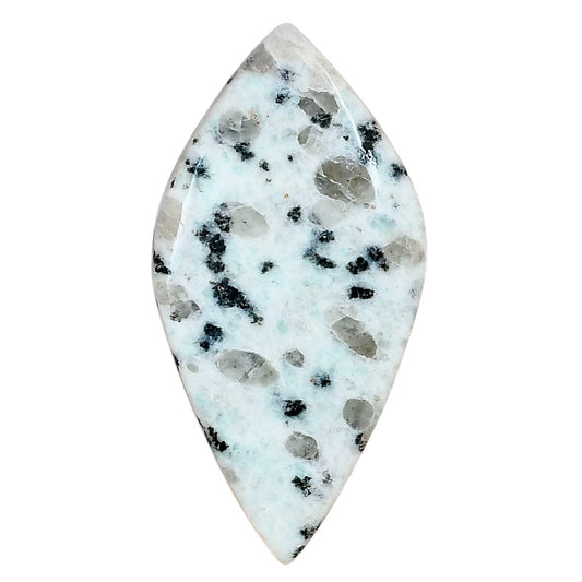 Sesame Jasper 45.92x23.25x5.7 mm Fancy Gemstone LS02972-48