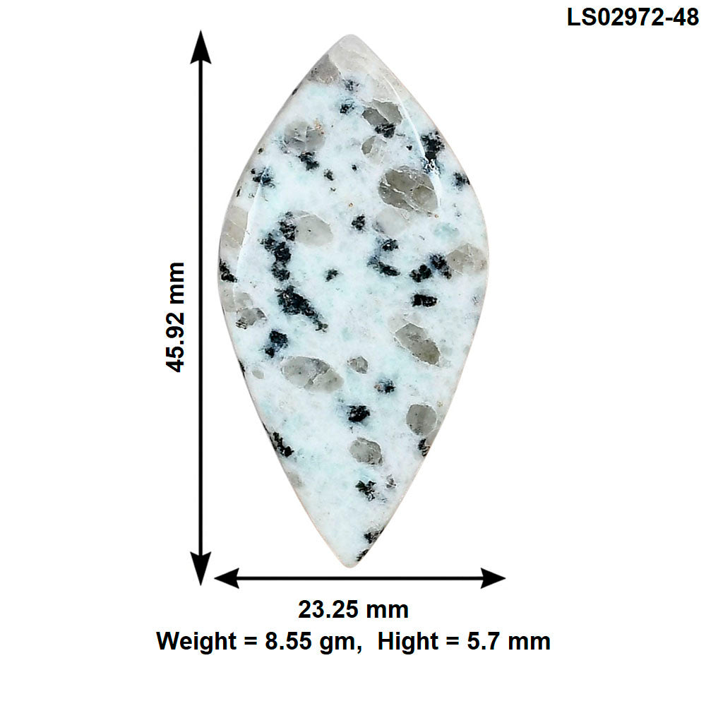 Sesame Jasper 45.92x23.25x5.7 mm Fancy Gemstone LS02972-48