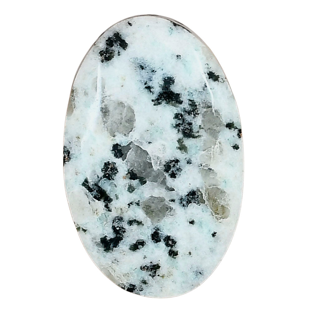 Sesame Jasper 33.83x21.54x6.5 mm Oval Gemstone LS02973-48