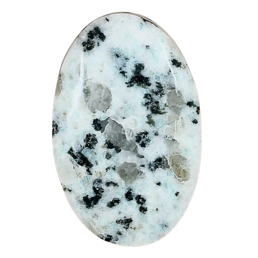 Sesame Jasper 33.83x21.54x6.5 mm Oval Gemstone LS02973-48
