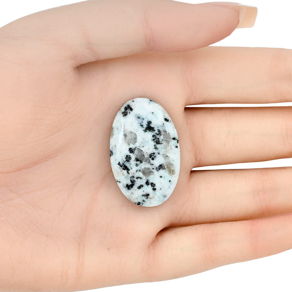 Sesame Jasper 33.83x21.54x6.5 mm Oval Gemstone LS02973-48