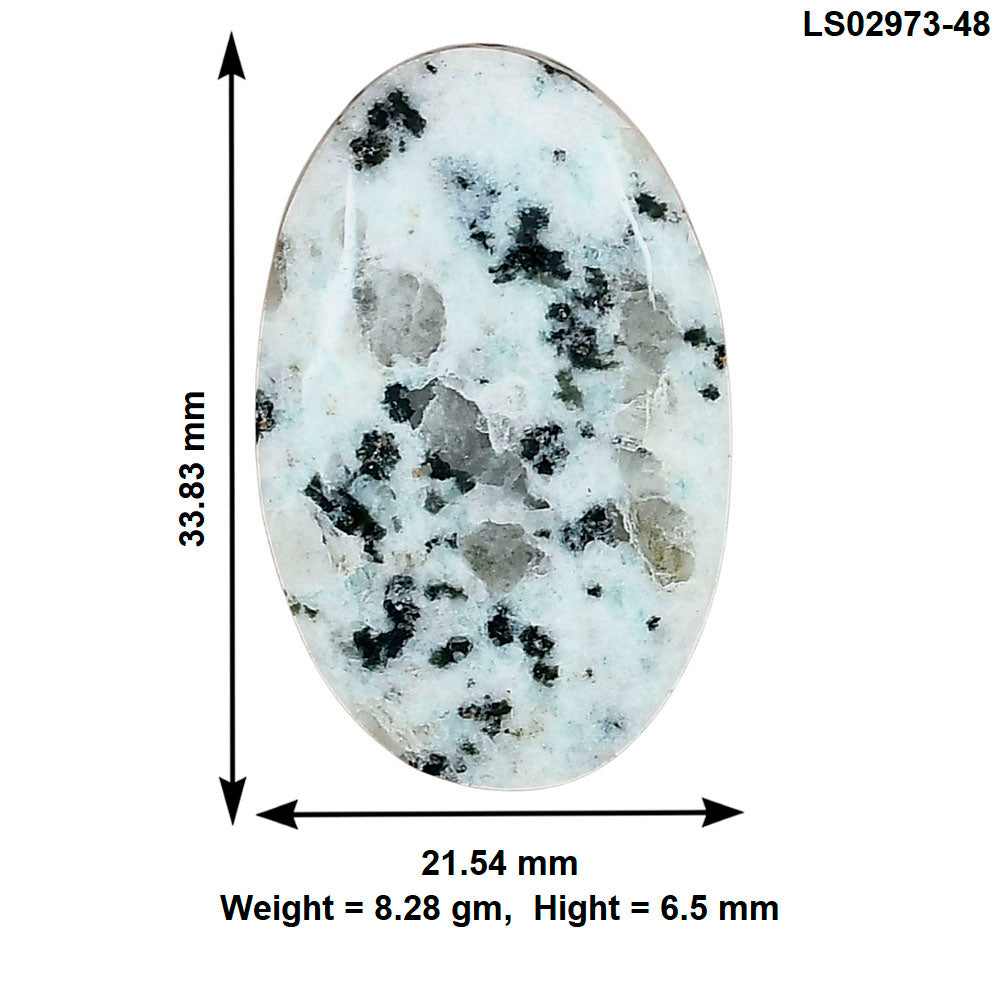 Sesame Jasper 33.83x21.54x6.5 mm Oval Gemstone LS02973-48