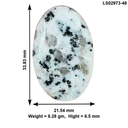 Sesame Jasper 33.83x21.54x6.5 mm Oval Gemstone LS02973-48