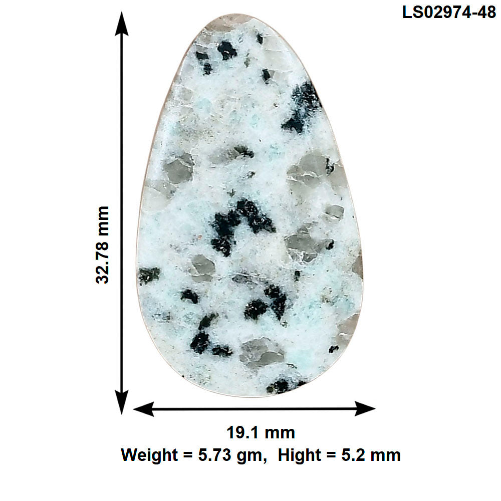 Sesame Jasper 32.78x19.1x5.2 mm Fancy Gemstone LS02974-48