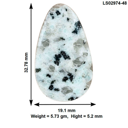 Sesame Jasper 32.78x19.1x5.2 mm Fancy Gemstone LS02974-48
