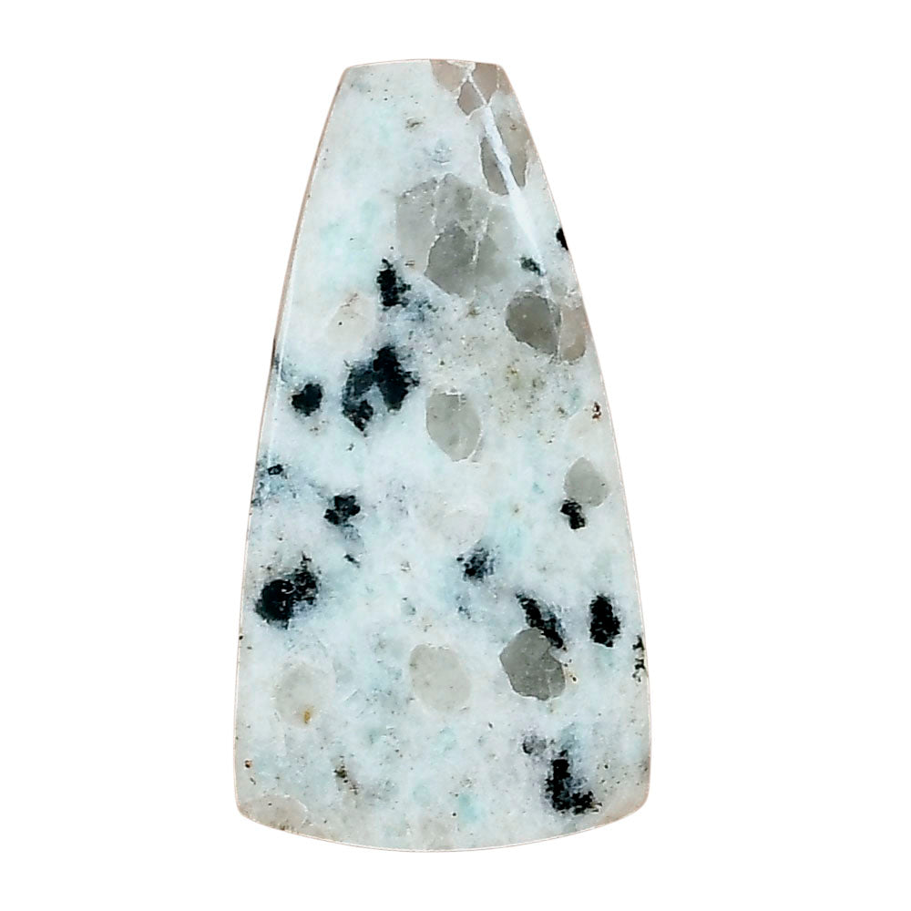 Sesame Jasper 34.33x18.1x5.4 mm Fancy Gemstone LS02975-48