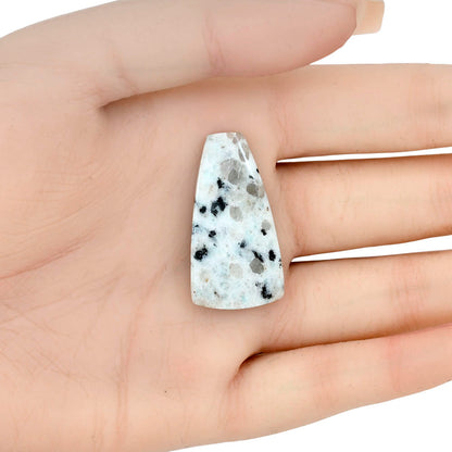 Sesame Jasper 34.33x18.1x5.4 mm Fancy Gemstone LS02975-48