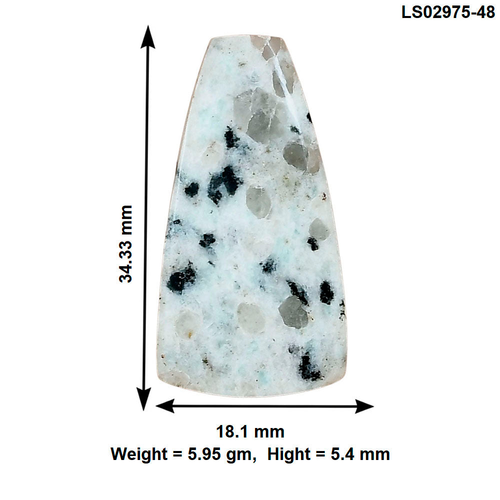 Sesame Jasper 34.33x18.1x5.4 mm Fancy Gemstone LS02975-48