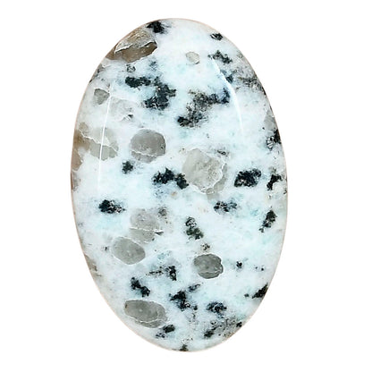 Sesame Jasper 33.58x21.86x6 mm Oval Gemstone LS02976-48