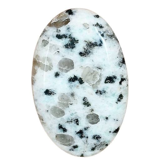 Sesame Jasper 33.58x21.86x6 mm Oval Gemstone LS02976-48