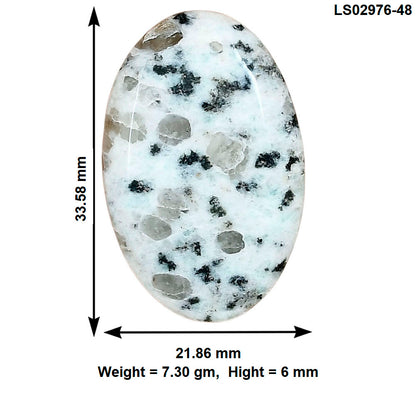 Sesame Jasper 33.58x21.86x6 mm Oval Gemstone LS02976-48