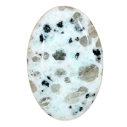 Sesame Jasper 31.75x21x6.5 mm Oval Gemstone LS02977-48