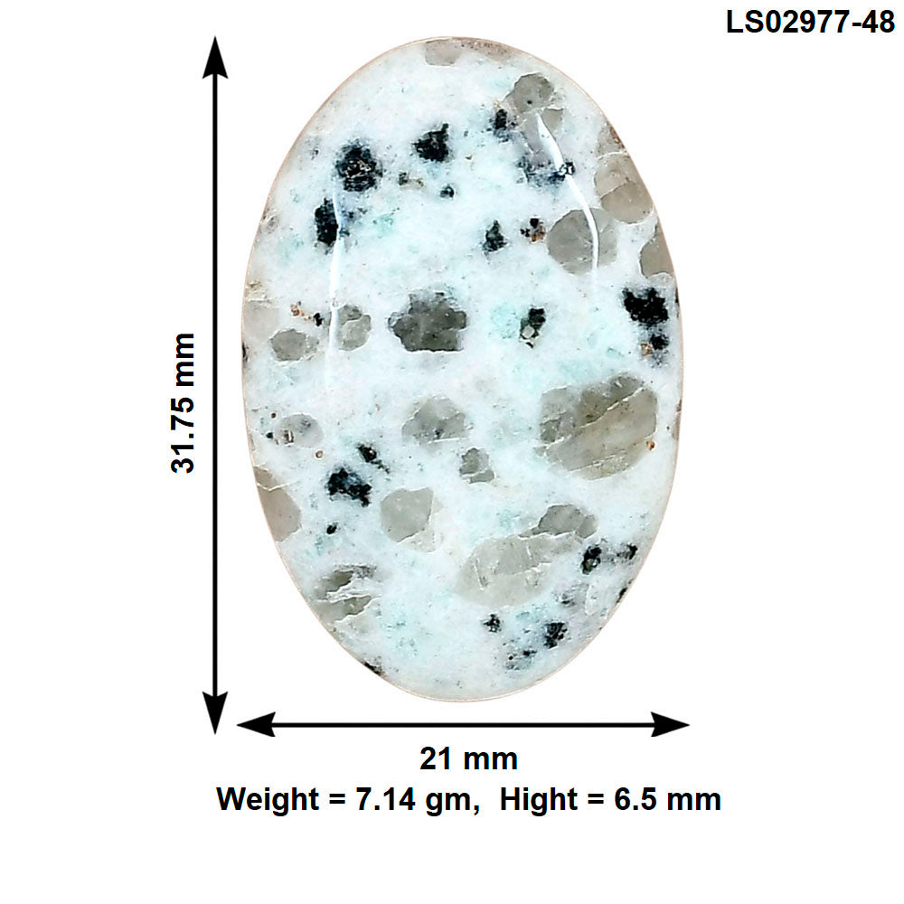 Sesame Jasper 31.75x21x6.5 mm Oval Gemstone LS02977-48