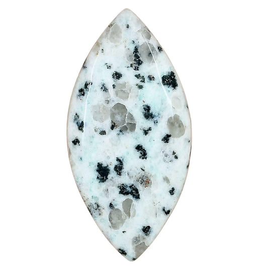 Sesame Jasper 45.11x22.29x5.6 mm Marquise Gemstone LS02978-48