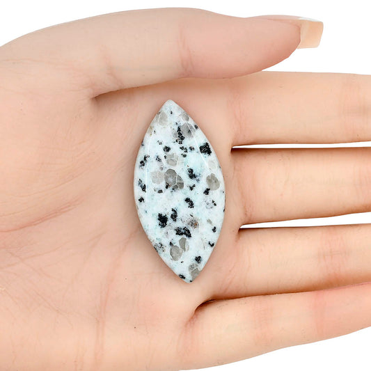 Sesame Jasper 45.11x22.29x5.6 mm Marquise Gemstone LS02978-48