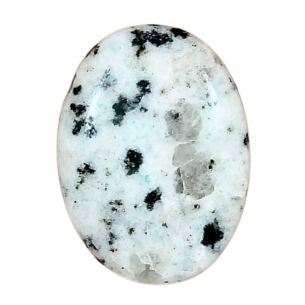Sesame Jasper 24.67x18.3x5.4 mm Oval Gemstone LS02979-48