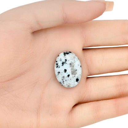 Sesame Jasper 24.67x18.3x5.4 mm Oval Gemstone LS02979-48