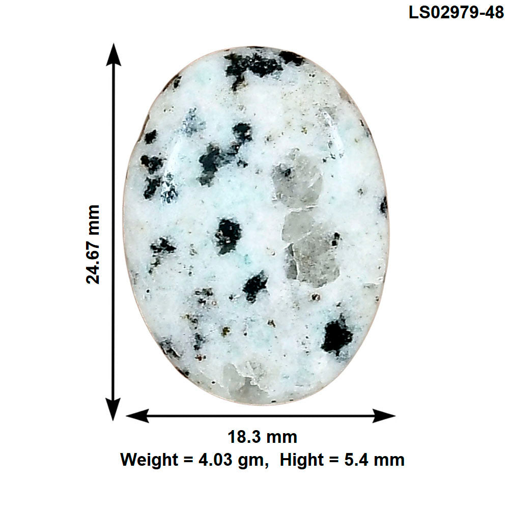 Sesame Jasper 24.67x18.3x5.4 mm Oval Gemstone LS02979-48