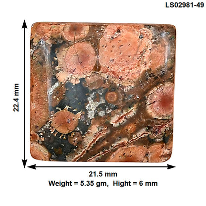 Poppy Jasper 22.4x21.5x6 mm Baguette Gemstone LS02981-49