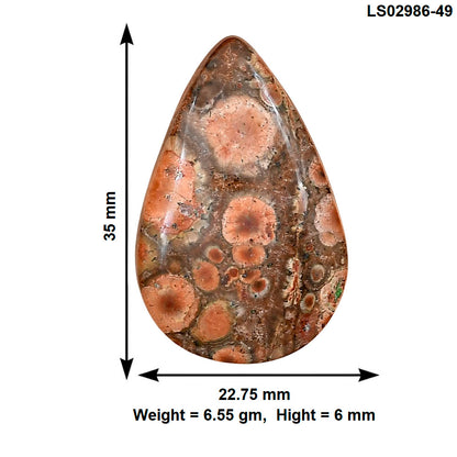 Poppy Jasper 35x22.75x6 mm Pear Gemstone LS02986-49