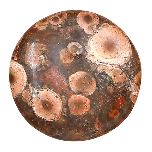 Poppy Jasper 26.3x26.3x5.5 mm Round Gemstone LS02991-49