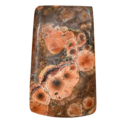 Poppy Jasper 31.6x18.9x4.5 mm Baguette Gemstone LS02995-49