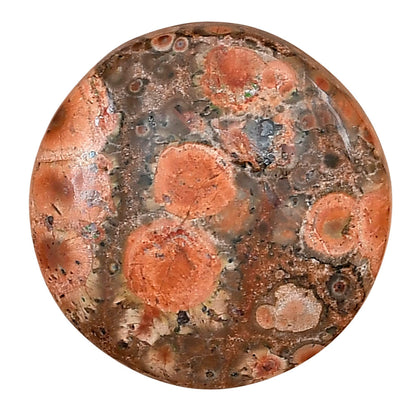Poppy Jasper 26.75x26.75x5.6 mm Round Gemstone LS03001-49