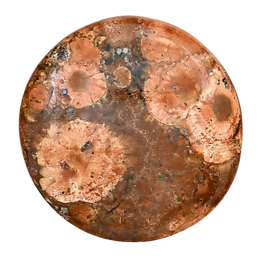 Poppy Jasper 26.75x26.75x6 mm Round Gemstone LS03008-49