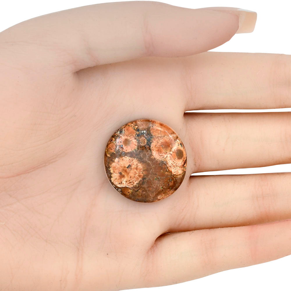 Poppy Jasper 26.75x26.75x6 mm Round Gemstone LS03008-49