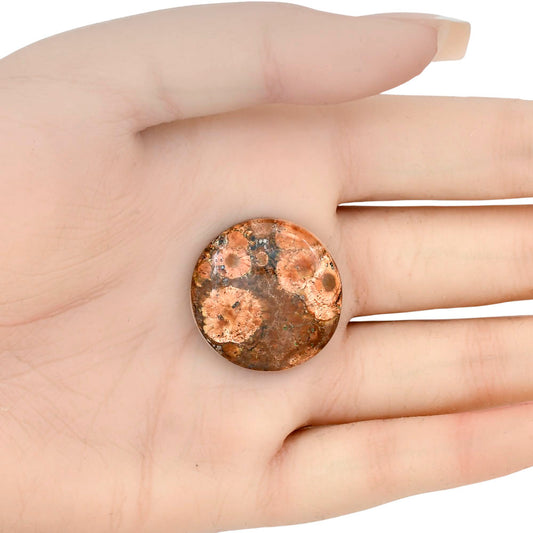 Poppy Jasper 26.75x26.75x6 mm Round Gemstone LS03008-49