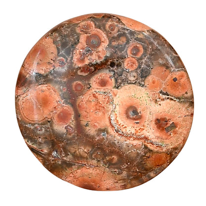Poppy Jasper 29.5x29.5x5.3 mm Round Gemstone LS03010-49