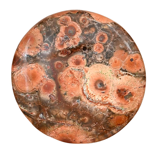 Poppy Jasper 29.5x29.5x5.3 mm Round Gemstone LS03010-49
