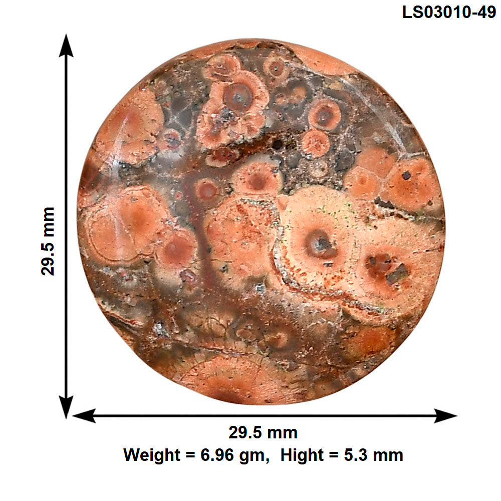 Poppy Jasper 29.5x29.5x5.3 mm Round Gemstone LS03010-49